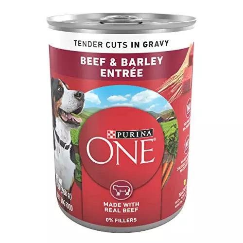 Purina ONE Tender Cuts in Gravy Beef and Barley Entree in Wet Dog Food Gravy – (12) 13 oz. Cans