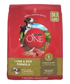 Purina ONE Dry Dog Food Lamb and Rice Formula – 31.1 lb. Bag