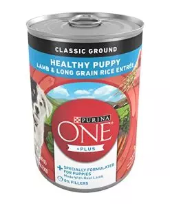 Purina ONE Plus Wet Puppy Food Classic Ground Healthy Puppy Lamb and Long Grain Rice Entree – (12) 13 oz. Cans