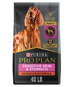 Purina Pro Plan Sensitive Skin and Stomach Dog Food Salmon and Rice Formula – 40 lb. Bag