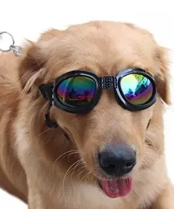 Pet Glasses Dog Sunglasses Dog Glasses Golden Retriever Samoyed Sunglasses Goggles Big Dog Sunglasses (Black)