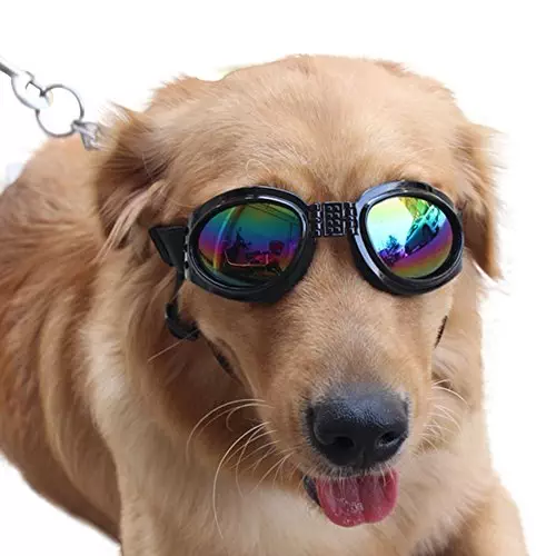 Pet Glasses Dog Sunglasses Dog Glasses Golden Retriever Samoyed Sunglasses Goggles Big Dog Sunglasses (Black)