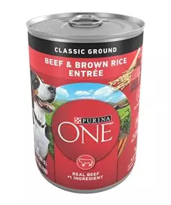 Purina ONE Classic Ground Beef and Brown Rice Entree Adult Wet Dog Food – (12) 13 oz. Cans