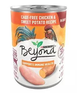 Purina Beyond Chicken and Sweet Potato in Gravy Grain Free Wet Dog Food – (12) 12.5 oz. Cans