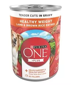 Purina ONE Plus Tender Cuts in Gravy Healthy Weight Lamb and Brown Rice Entree in Wet Dog Food Gravy – (12) 13 Oz. Cans