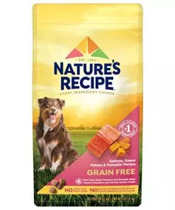 Nature′s Recipe Dry Dog Food, Grain Free Salmon, Sweet Potato & Pumpkin Recipe, 4 lb. Bag