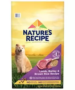 Nature’s Recipe Original Dry Dog Food for Adult Dogs, Lamb & Rice Recipe, 24 lb Bag