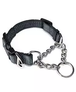 Martingale Collar, Training Dog Collar, Limited Cinch Chain Pet Gear for No Pull Dog Walking