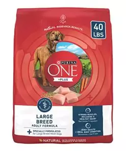 Purina ONE Plus Large Breed Adult Dog Food Dry Formula – 40 lb. Bag