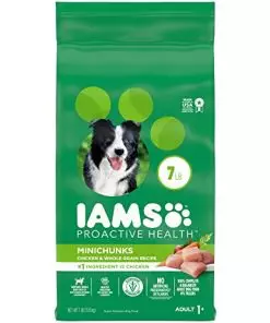 IAMS Adult Minichunks Small Kibble High Protein Dry Dog Food with Real Chicken, 7 lb. Bag