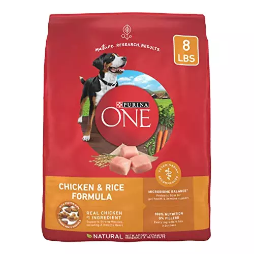 Purina ONE Chicken and Rice Formula Dry Dog Food – 8 lb. Bag