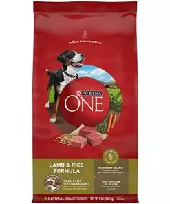 Purina ONE Dry Dog Food Lamb and Rice Formula – 8 lb. Bag