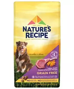 Nature′s Recipe Dry Dog Food, Grain Free Lamb, Sweet Potato & Pumpkin Recipe, 4 lb. Bag