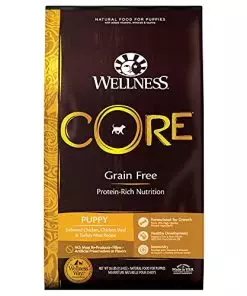 Wellness CORE Natural Grain Free Dry Dog Food, Puppy, 26-Pound Bag