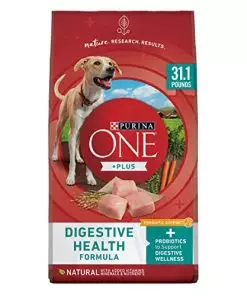 Purina One Plus Digestive Health Formula Dry Dog Food Natural with Added Vitamins, Minerals and Nutrients – 31.1 lb. Bag