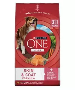 Purina ONE Natural, Sensitive Stomach Dry Dog Food, +Plus Skin & Coat Formula – 31.1 lb. Bag