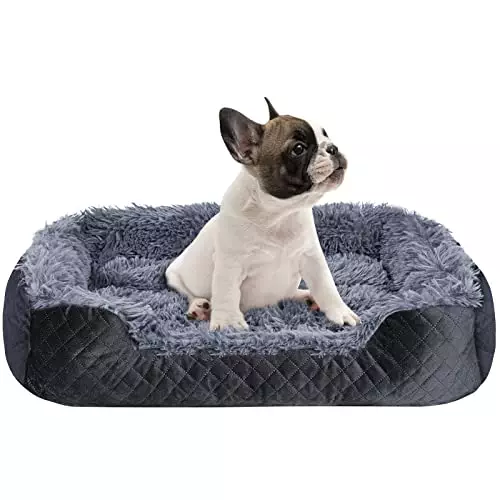 Titwest Dog Beds for Small Dogs, Soft Fluffy Plush Rectangle Dog Bed, Machine Washable Dog Bed, Warming and Breathable Pet Sofa, Comfortable Dog Bed for Small Dogs and Cats