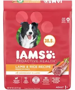 IAMS Minichunks Adult Dry Dog Food Lamb & Rice Recipe Dog Kibble, 38.5 lb. Bag