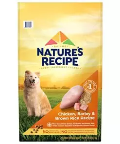 Nature′s Recipe Dry Dog Food, Chicken, Barley & Brown Rice Recipe, 24 lb. Bag