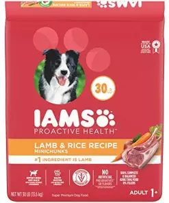 IAMS Minichunks Adult Dry Dog Food Lamb & Rice Recipe Dog Kibble, 30 lb. Bag