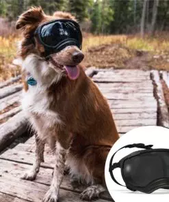 Rex Specs V2 Dog Goggles (Medium, Black)