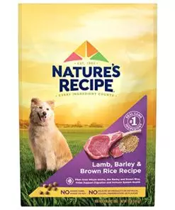 Nature’s Recipe Original Dry Dog Food for Adult Dogs, Lamb & Rice Recipe, 12 lb Bag