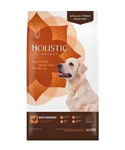 Holistic Select Natural Grain Free Dry Dog Food, Weight Management Chicken Meal & Peas Recipe, 24-Pound Bag