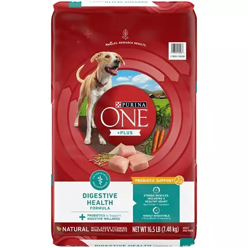 Purina One Plus Digestive Health Formula Dry Dog Food Natural with Added Vitamins, Minerals and Nutrients – 16.5 lb. Bag