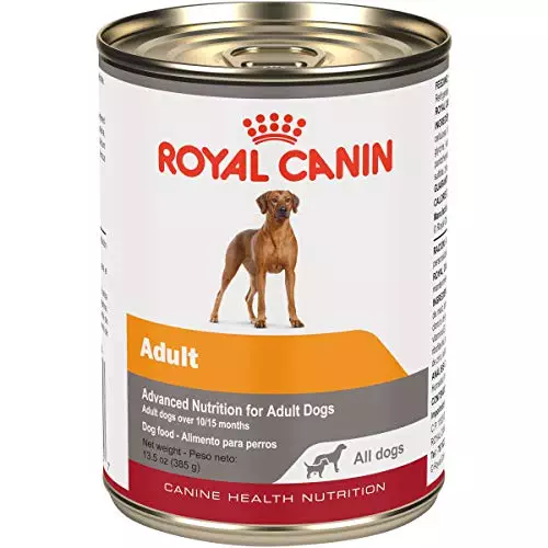 Royal Canin Canine Health Nutrition Adult In Gel Canned Dog Food, 13.5 Oz (Pack of 12)