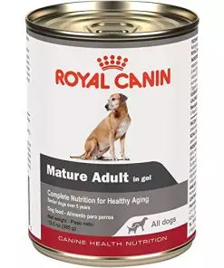 Royal Canin Canine Health Nutrition, Mature Adult In Gel Canned Dog Food, 13.5 oz Can (Case of 12)