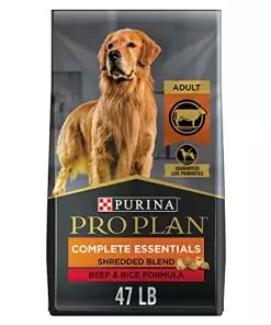 Purina Pro Plan High Protein Dog Food With Probiotics for Dogs, Shredded Blend Beef & Rice Formula – 47 lb. Bag