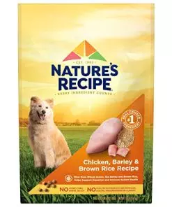 Nature’s Recipe Original Dry Dog Food for Adult Dogs, Chicken & Rice Recipe, 12 lb Bag