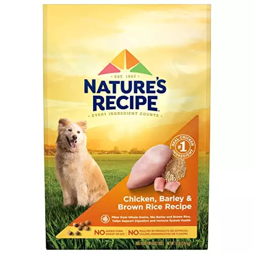 Nature’s Recipe Original Dry Dog Food for Adult Dogs, Chicken & Rice Recipe, 12 lb Bag