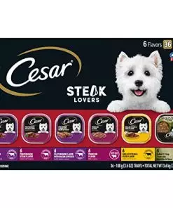 CESAR Adult Soft Wet Dog Food Steak Lovers Variety Pack with Real Meat, (36) 3.5 oz. Trays