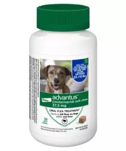 Advantus (Imidacloprid) Chewable Flea Treatment for Large Dogs, 30 Count, 23-110 Pound