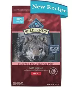 Blue Buffalo Wilderness High Protein Natural Adult Dry Dog Food plus Wholesome Grains, Salmon 24 lb bag