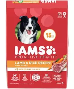 IAMS Minichunks Adult Dry Dog Food Lamb & Rice Recipe Dog Kibble, 15 lb. Bag