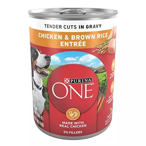 Purina ONE Tender Cuts in Wet Dog Food Gravy Chicken and Brown Rice Entree – (12) 13 Oz. Cans