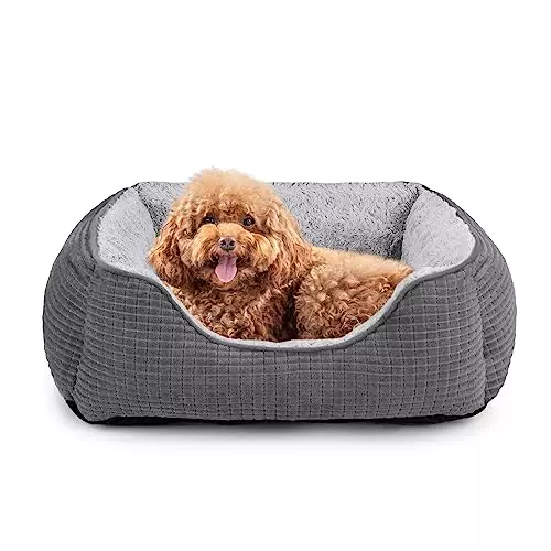 MIXJOY Dog Beds for Small Medium Large Dogs, Pet Bed Calming Cat & Puppy Bed, Washable Rectangle Orthopedic Dog Sofa Bed, Soft Sleeping Warming Kitten Bed with Anti-Slip Bottom-20”x19”x6”