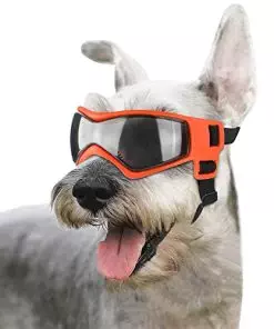 Enjoying Dog Goggles Small to Medium UV Protection Dogs Sunglasses Windproof Antifog Pet Glasses for Doggy Eye Wear, Soft Frame, Orange