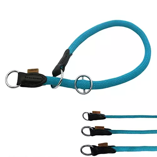 Aiminto Braided Collar, Pro Training Dog Collar, No Pull Round Martingale Collar, Slip Collar with Slidable Stop Ring – Ideal for Medium Dogs (M(1/2″) – 18″ Long, Light Blue)