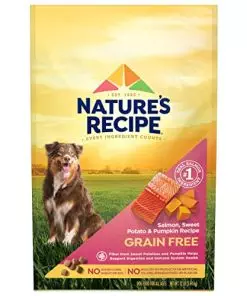 Nature’s Recipe Grain Free Dry Dog Food, Salmon, Sweet Potato & Pumpkin Recipe, 12 Pound Bag, Easy to Digest