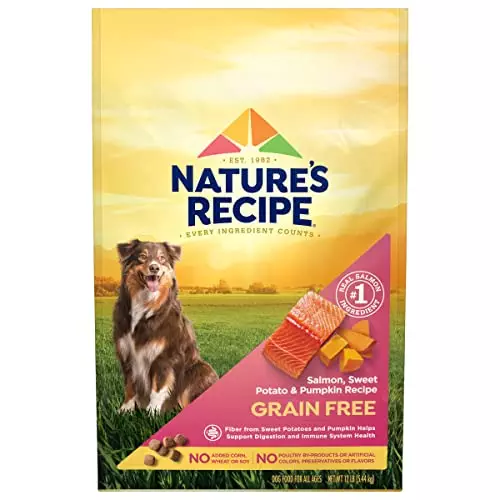 Nature’s Recipe Grain Free Dry Dog Food, Salmon, Sweet Potato & Pumpkin Recipe, 12 Pound Bag, Easy to Digest