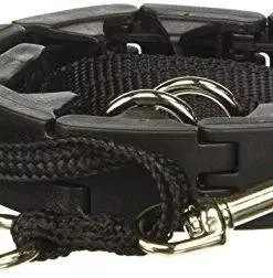 Star Mark Pro-Training Dog Collar, Large – 21″