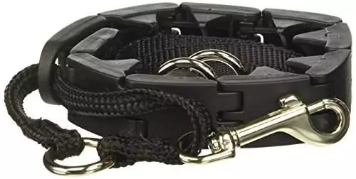 Star Mark Pro-Training Dog Collar, Large – 21″