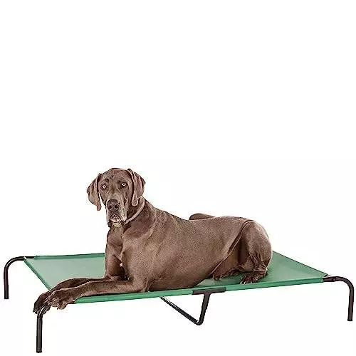 Amazon Basics Cooling Elevated Dog Bed with Metal Frame, Extra-Large, 60 x 37 x 9 Inch, Green
