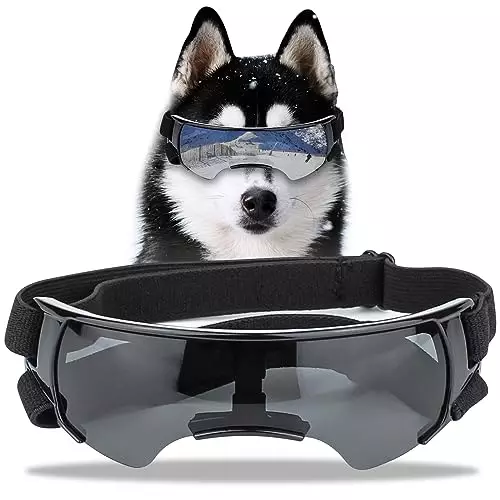 Dog Sunglasses Goggles UV Protection Wind/Dust/Snowproof Puppy Glasses for Small to Medium Breed Dog for Outdoor Driving Riding with Frame Adjustable Straps (Black)