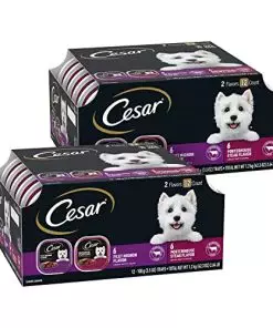 CESAR Adult Wet Dog Food Classic Loaf in Sauce Filet Mignon and Porterhouse Steak Flavors Variety Pack, 3.5 oz. Easy Peel Trays, Pack of 24