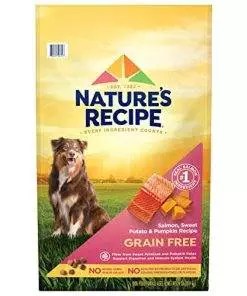 Nature′s Recipe Dry Dog Food, Grain Free Salmon, Sweet Potato & Pumpkin Recipe, 24 lb. Bag