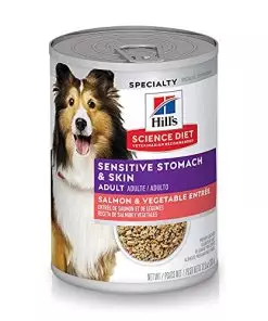 Hill’s Science Diet Wet Dog Food, Adult, Sensitive Stomach & Skin, Salmon & Vegetable Entrée, 12.8 Ounce (Pack of 12)